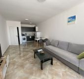 Apartment Ganevi