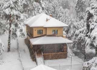 House Villa Diana, Tsigov chark