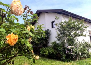 House Charisma, Hissarya