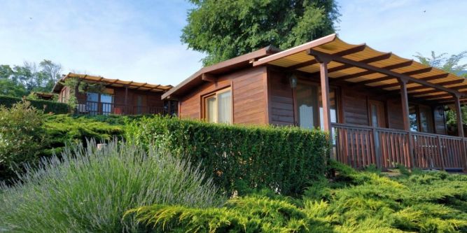 Вили Вириди