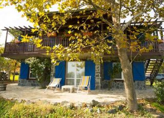 House Art Provence House, Lozenets