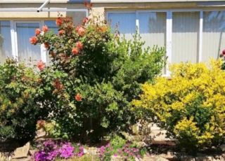 Apartment Relax between the sea § forest, Saint Vlas