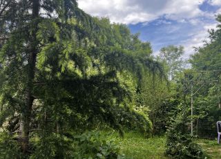 Apartment Zapovedni Rai, Primorsko