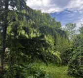 Apartment Zapovedni Rai