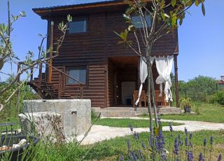 House Family house, Pismenovo