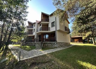 House Guest House London, Tsigov chark