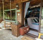 House Villa India Bibliothek