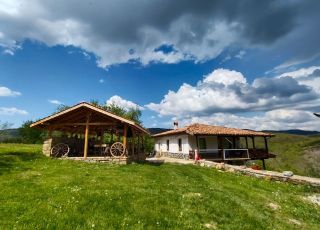 House Panorama 360°, Elena