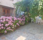 Separate room The house with hydrangeas