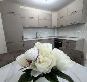 Apartment Rent Apartment
