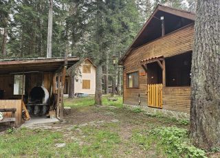 Bungalow Esi, Tsigov chark