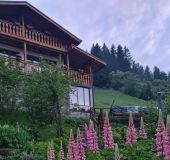 House Guest rooms Rhodope Coziness