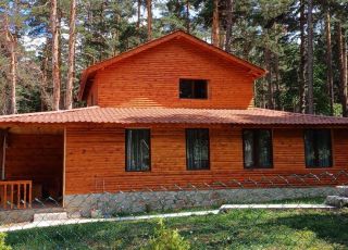 House Villa Viki, Tsigov chark