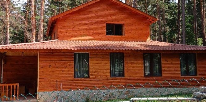 Вила Вики