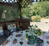 House Guest Houses Vratsa