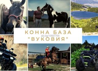 Bungalow Vukovia equestrian center, Bansko