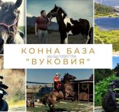 Bungalow Vukovia equestrian center