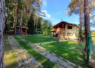 House Raiskiya kat, Tsigov chark