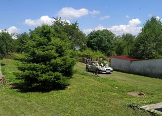 Вила до гората