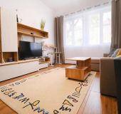 Apartment in the city center