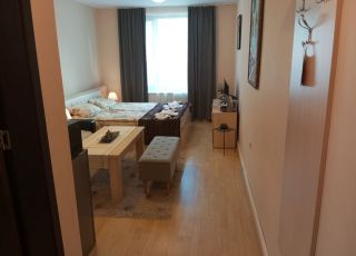 Апартамент Форест Глейд - студио 552