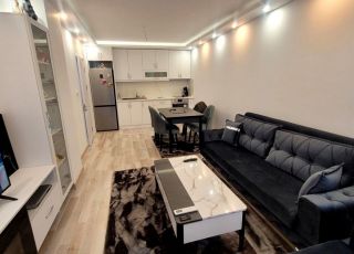 Двустаен апартамент - НС