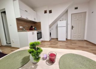 Очарователно студио Русе 1