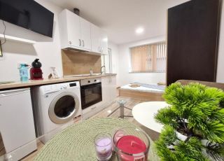 Очарователно студио Русе 4