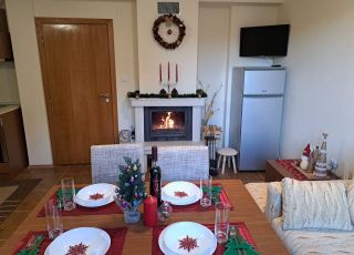 Apartment Studio LSM infinity , Pamporovo