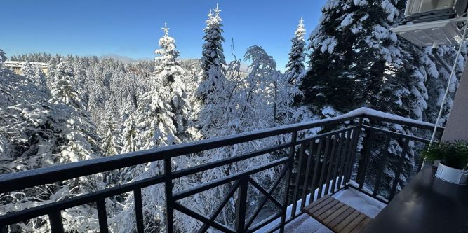 Апартаменти Pamporovo View