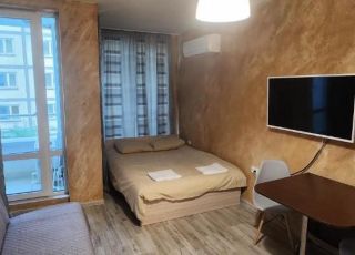 Apartment Colonel apartment 954, Sofia