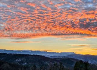 Къща за гости Елея