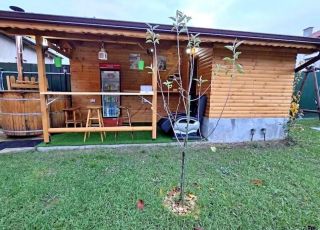 House Guest House Belitsa, Belitsa, Blagoevgrad