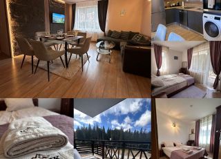 Apartment Alenik Private Apartment, Pamporovo