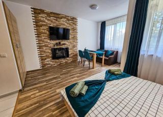 Форест Вю Студио Д25