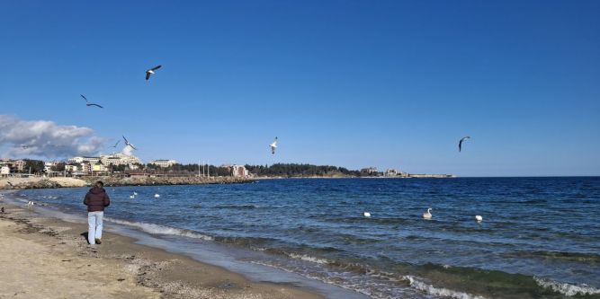 Апартамент Азуро Равда