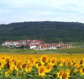 Apartment Harmony Hills Tomovi A12