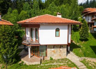 House Villa Pamporovo Savov, Pamporovo