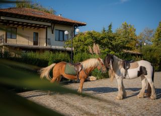 House Eco Complex Albitsia  , Byala