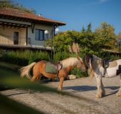 House Eco Complex Albitsia  