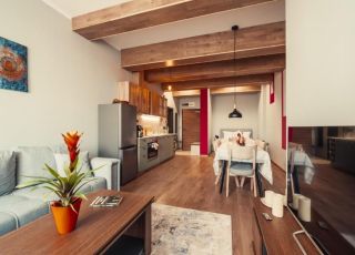 Апартамент Рила Зен 