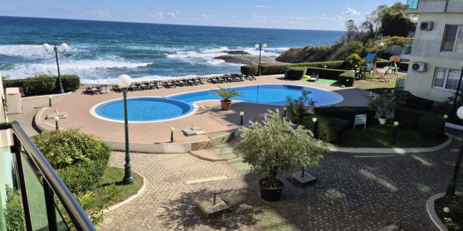 Студиа Синьо