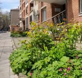 Apartment apartament 