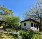House Villa Avren