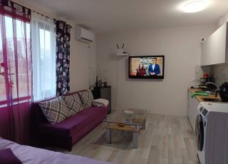 Apartment Studio Viki , Tryavna