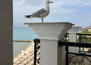 Apartment Onyx, Saint Vlas
