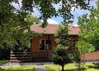House Martina, Ribaritsa