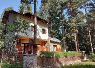 House Villa Nadezhda, Tsigov chark