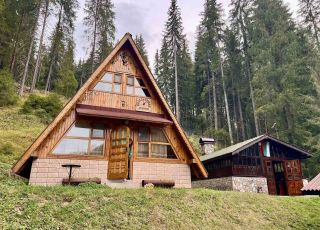 House Villa Forest corner, Buynovo, Smolyan