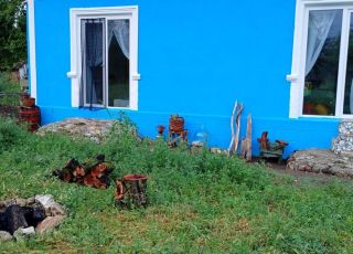 House Irina, Trigortsi